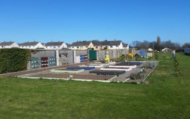 School Garden